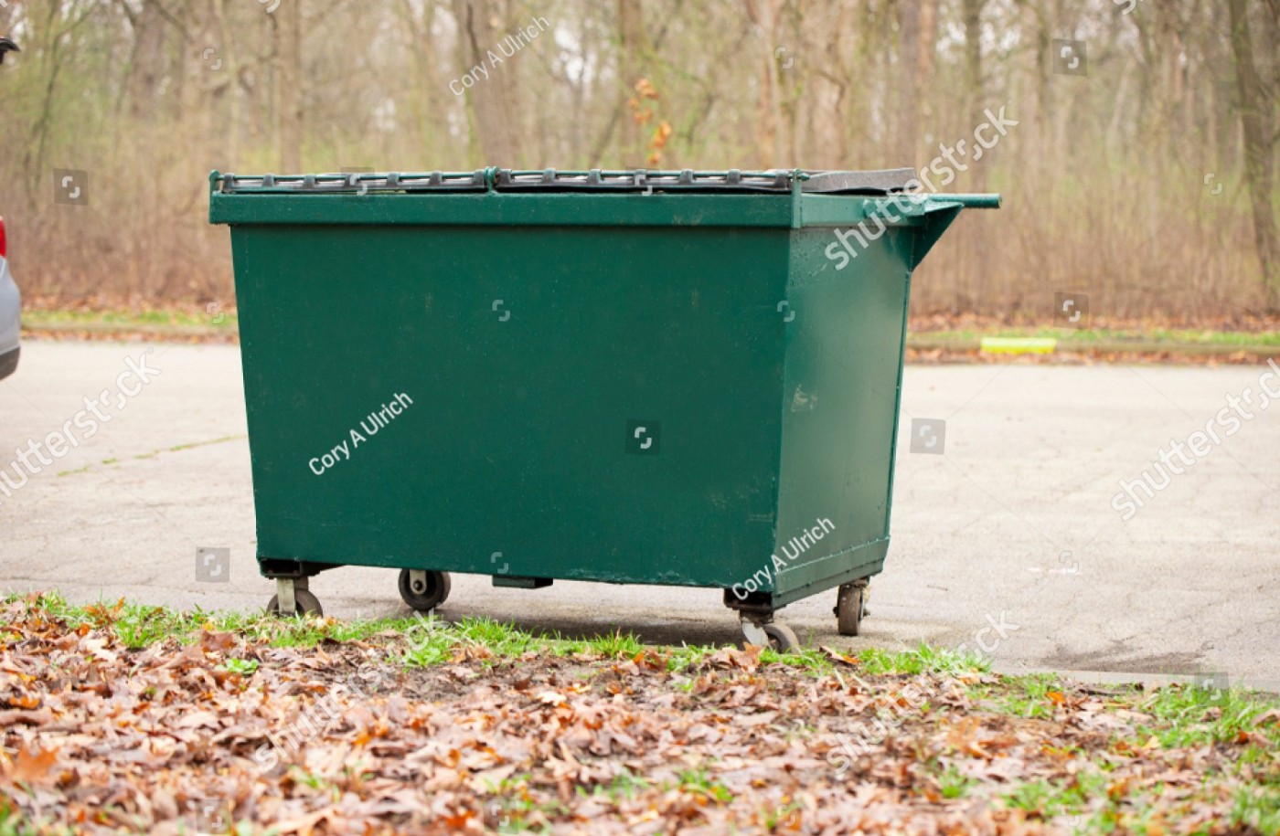 stock photo a rental dumpster helping keep a park clean 1373828570 1